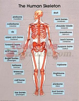 more about map of whooping