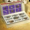 GeoSafari Rock, Mineral and Fossil Collections