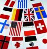 Int'l Flag Pennant 16'