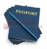My Passport Book 24 Books