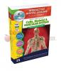 Cells Skeletal & Muscular Systems