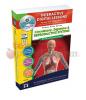 Circulatory Digestive Reproductive Systems