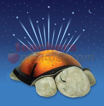 Twilight Turtle