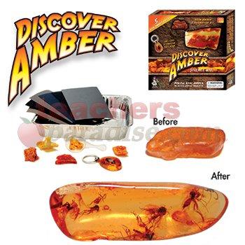 Discover Amber Science Kit