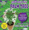 Grow Your Own Palm Tree