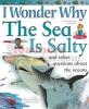 I Wonder Why The Sea Is So Salty