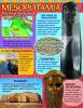 Ancient Mesopotamia Learning Chart