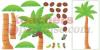 Palm Tree Bulletin Board Sets Palm Tree Bulletin Board Sets