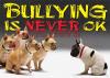 Bullying Is Never Ok Argus Large Poster