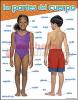 Las Partes Del Cuerpo 17X22 (Parts Of The Body) Chart