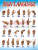 Chart Sign Language (17" X 22")