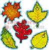 Dazzle Stickers Fall Leaves 75-Pk (Acid & Lignin Free)