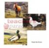Farm Animal Poster Set Set Of 10