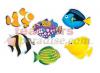 Fish Friends Variety Pk Classic Accents