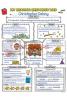 Graphic Organizer Posters Reading Response 3-6