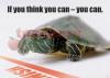 If you think you can Posters - ARGUS Large Posters