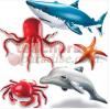 Inflatable Ocean Life Set