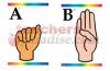 Sign Language With Braille Learning Cards