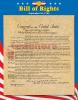 Bill of Rights Learning Charts