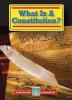 My American Government What Is A Constitution