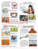 Poster Set Rocks & Minerals
