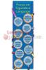 Figurative Language Colossal Poster