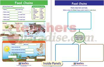Food Chains Visual Learning Guide Science Gr K-2