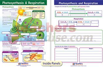 Photosynthesis & Respiration Visual Learning Guide Science Gr 6-9