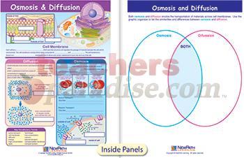 Osmosis & Diffusion Visual Learning Guide Science Gr 6-9