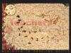 Mealworm Lifecycle Poster