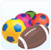 Physical Education Curriculum