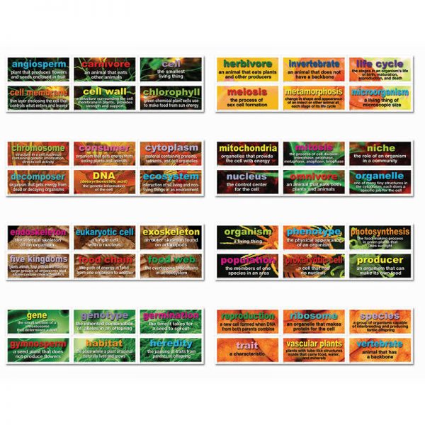 CARSON DELLOSA 48 LIFE SCIENCE TESTING WORDS MINI BB SET SET CD-410077