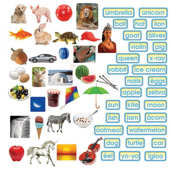 LITTLE FOLK VISUALS ABC PHOTO PHONICS FLANNELBOARD SET LFV22520
