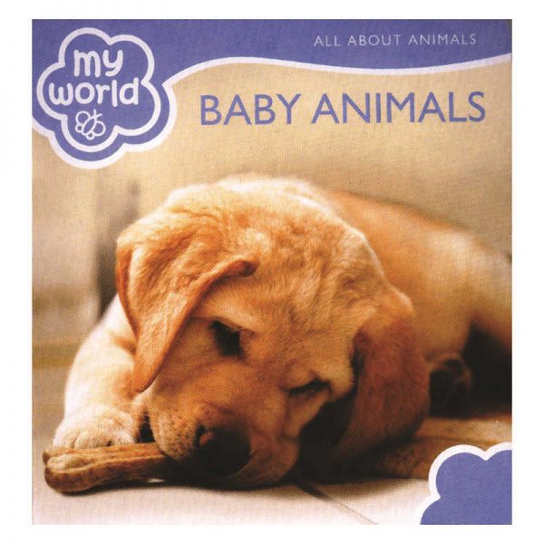 GARDNER PUBLISHING & DISTRIBUTION BABY ANIMALS BOARD BOOK GAR9781742114743