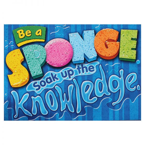TREND ENTERPRISES INC. BE A SPONGE SOAK UP THE T-A67027