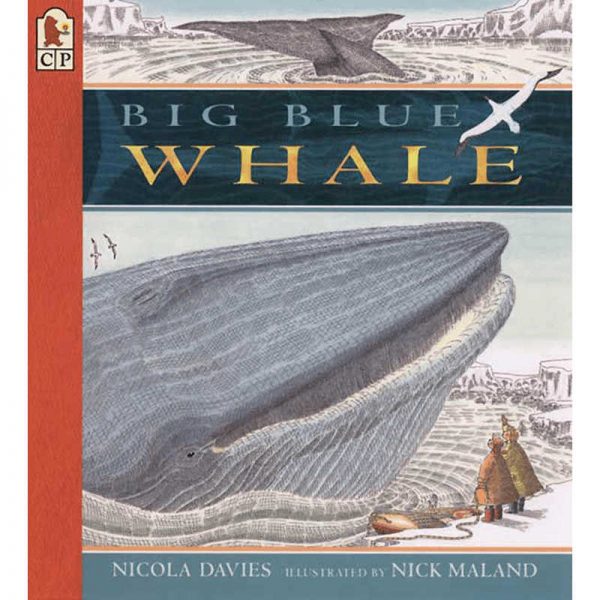 CANDLEWICK PRESS BIG BLUE WHALE CP-9780763610807