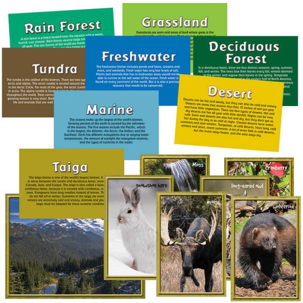EDUPRESS BIOMES INSTRUCTIONAL ACCENTS EP-3195