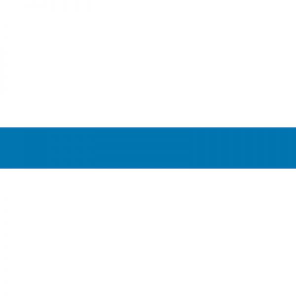TREND ENTERPRISES INC. BLUE SOLID BOLDER BORDERS T-85305