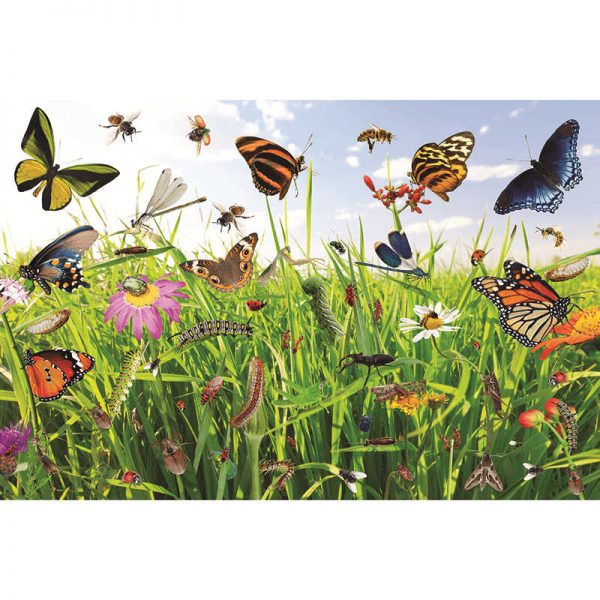 MOJO EDUCATION BUG TASTIC FLOOR PUZZLE 2FT X 3FT MJ-330005