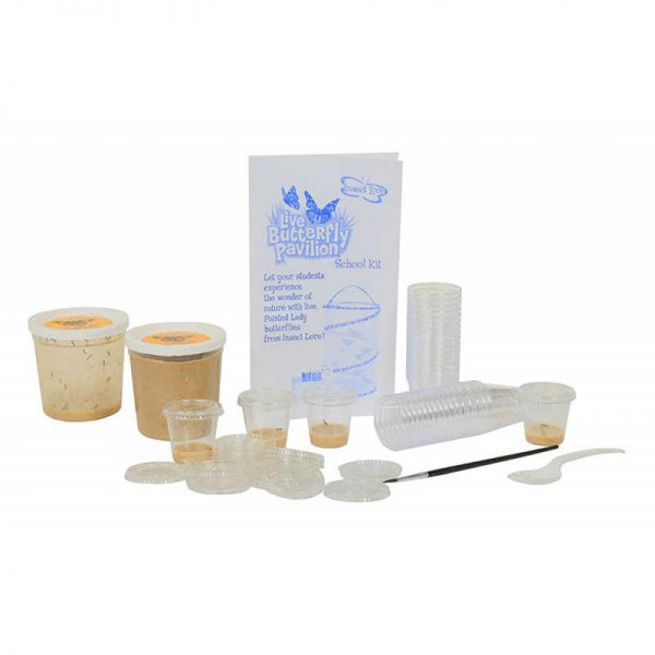 INSECT LORE BUTTERFLY PAVILION SCHOOL KIT ILP3338