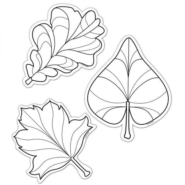 CREATIVE TEACHING PRESS COLOR ME LEAVES 6IN DESIGNER CUT OUTS CTP5848