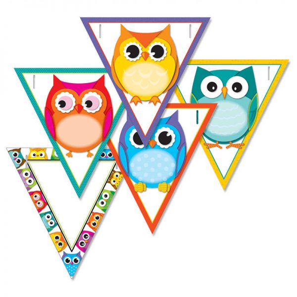 CARSON DELLOSA COLORFUL OWLS BANNERS GRADE PK-12 CD-102038