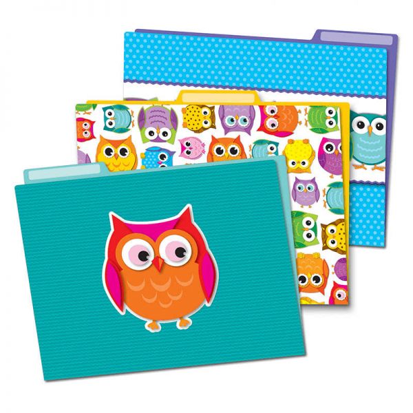 CARSON DELLOSA COLORFUL OWLS FOLDERS CD-136009