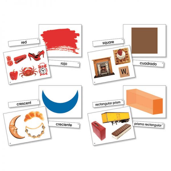 NORTH STAR TEACHER RESOURCE COLORS & SHAPES LANGUAGE CARDS NST9091