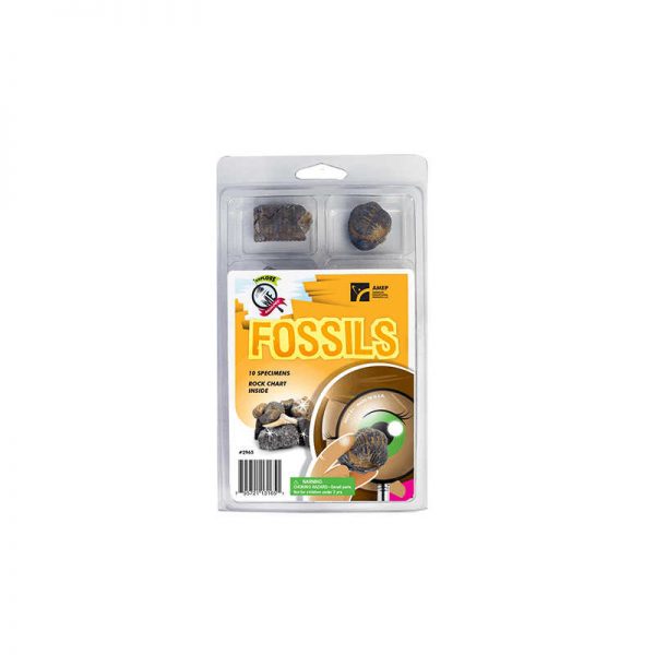 AMERICAN EDUCATIONAL PROD EXPLORE WITH ME GEOLOGY FOSSILS SET AEP2965