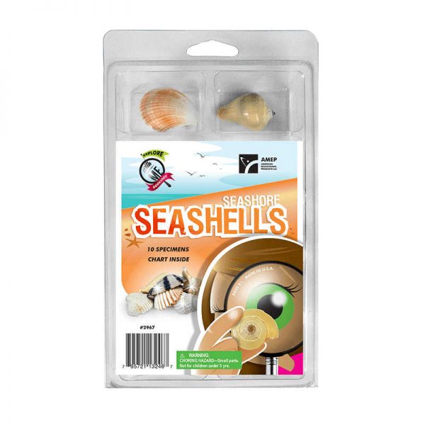 AMERICAN EDUCATIONAL PROD EXPLORE WITH ME SEASHORE SEASHELLS AEP2967