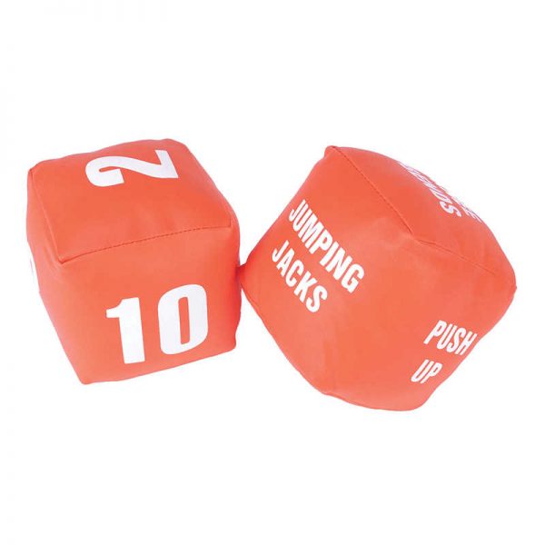 AMERICAN EDUCATIONAL PROD FITNESS DICE AEPYTC107