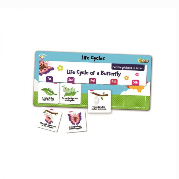 PRIMARY CONCEPTS, INC FLIPCHEX SCIENCE LIFE SCIENCE LIFE CYCLES PC-4302