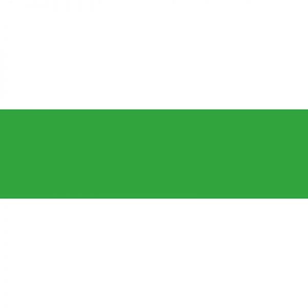 TREND ENTERPRISES INC. GREEN BOLDER BORDERS T-85306