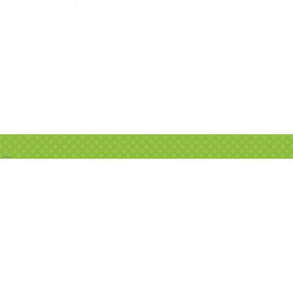 TEACHER CREATED RESOURCES GREEN SASSY SOLIDS DOUBLE SIDED BORDER TCR73150